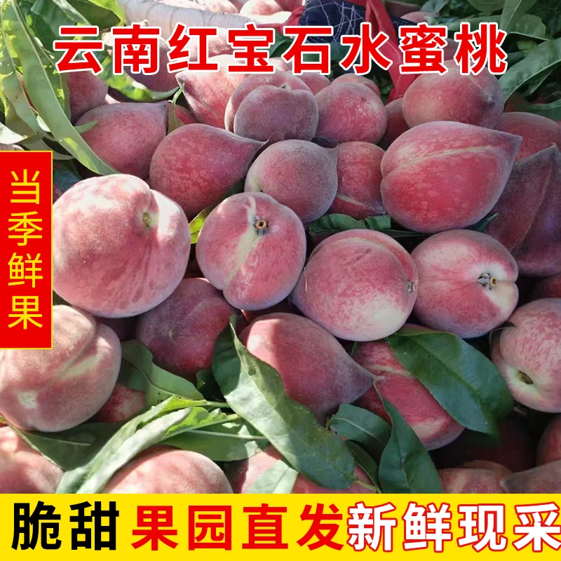 【当季新鲜】云南红宝石脆桃皮薄肉厚汁水四溅自然成熟