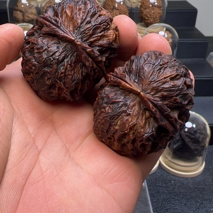 文玩核桃把件聚宝金蟾45mm