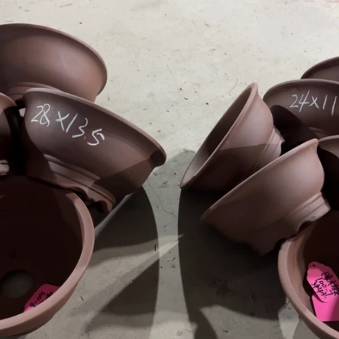 100-7。         组合