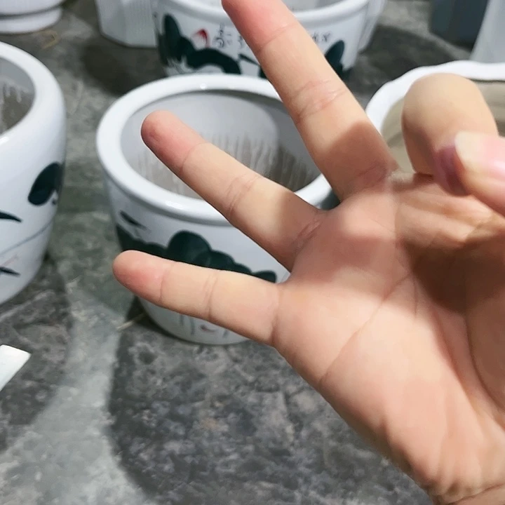 陶瓷花盆包邮包破损