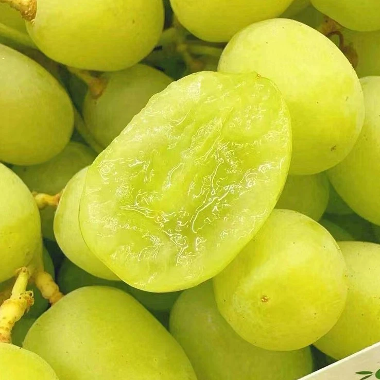 果切同城送【咸宁小时达】甜地球青提500g