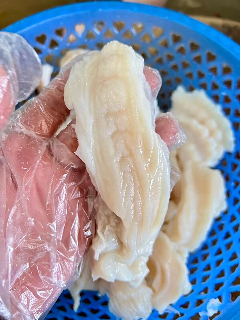 湛江新鲜鲨鱼肚 清爽脆嫩  Q弹紧实 顺丰发货