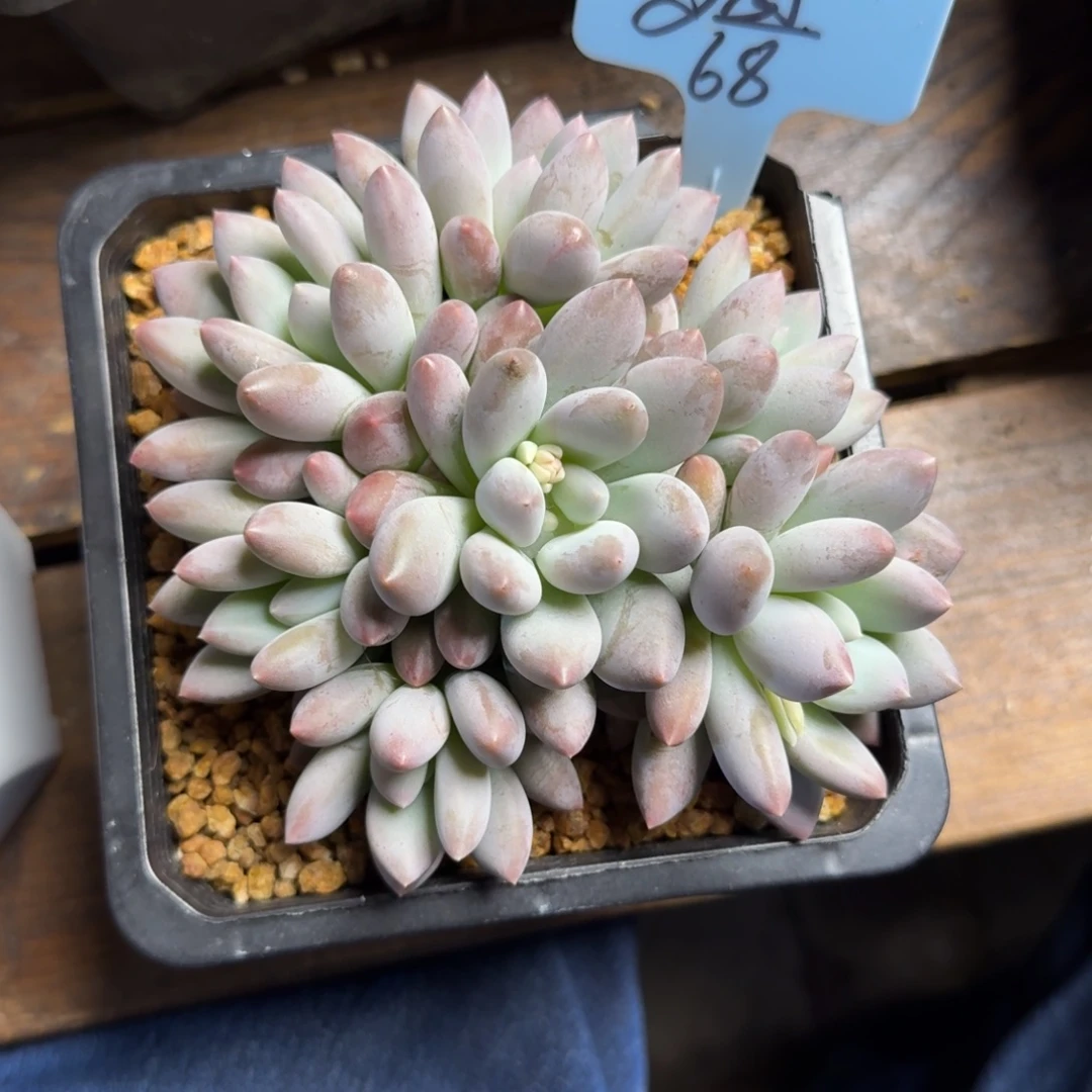 多***喵11111111111111111111