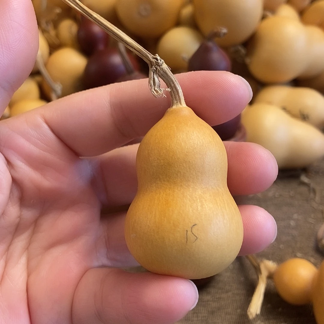 文玩葫芦 完美主义者 慎拍15