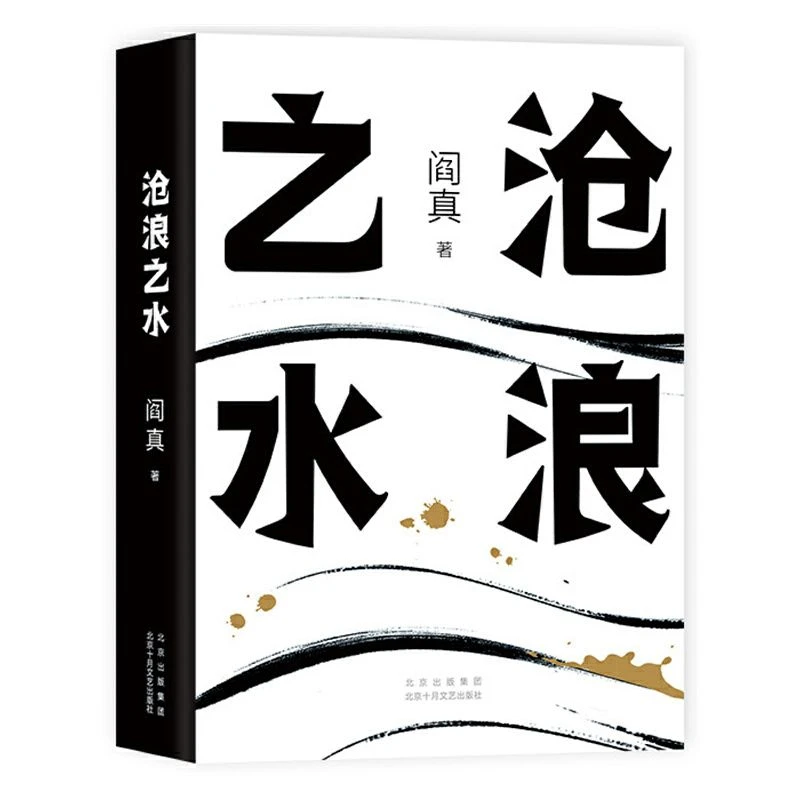 沧浪之水 阎真著 电视剧岁月原著 官场职场小说 考公人启蒙书