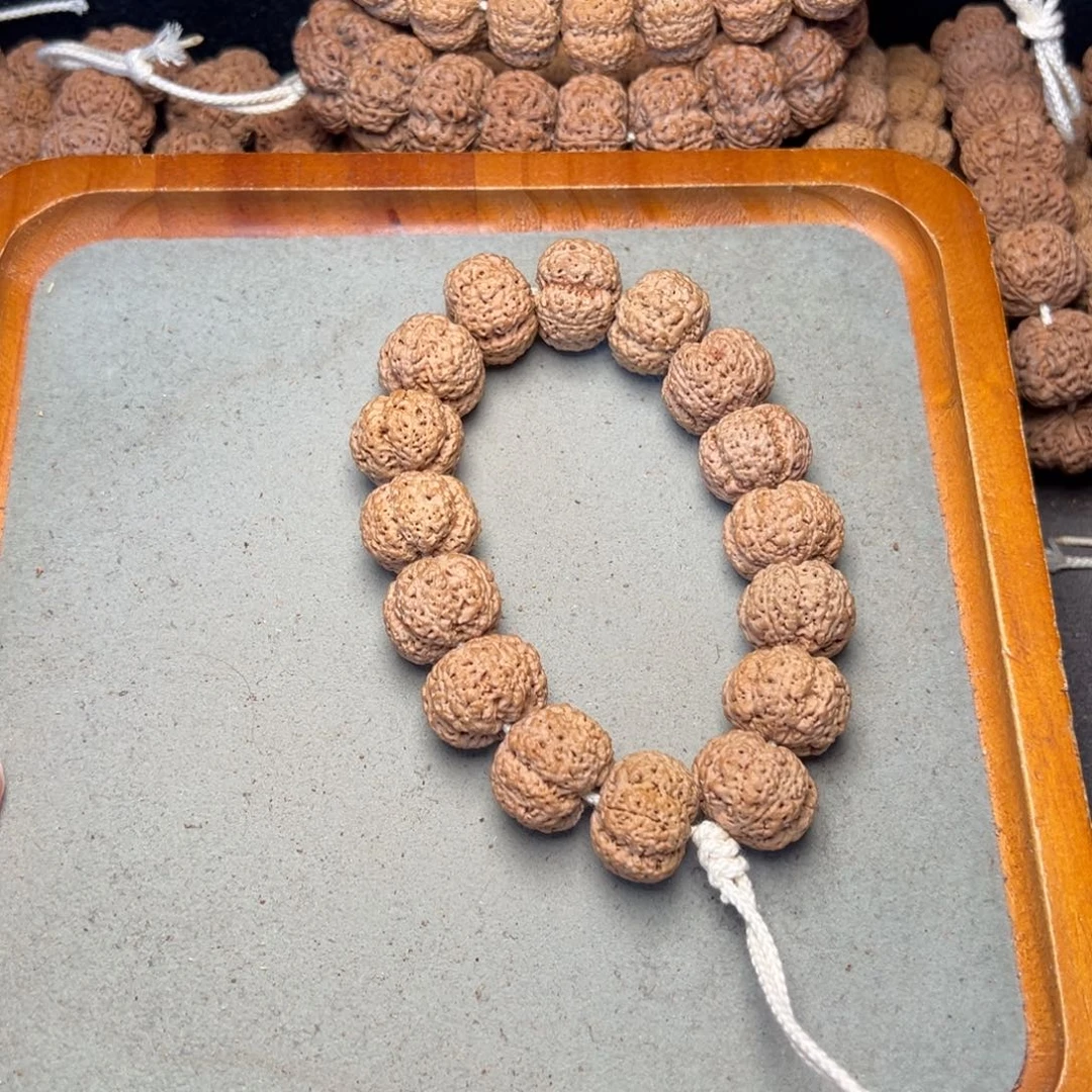 菩提25号金刚菩提熊猫菠萝蜜21.5超头