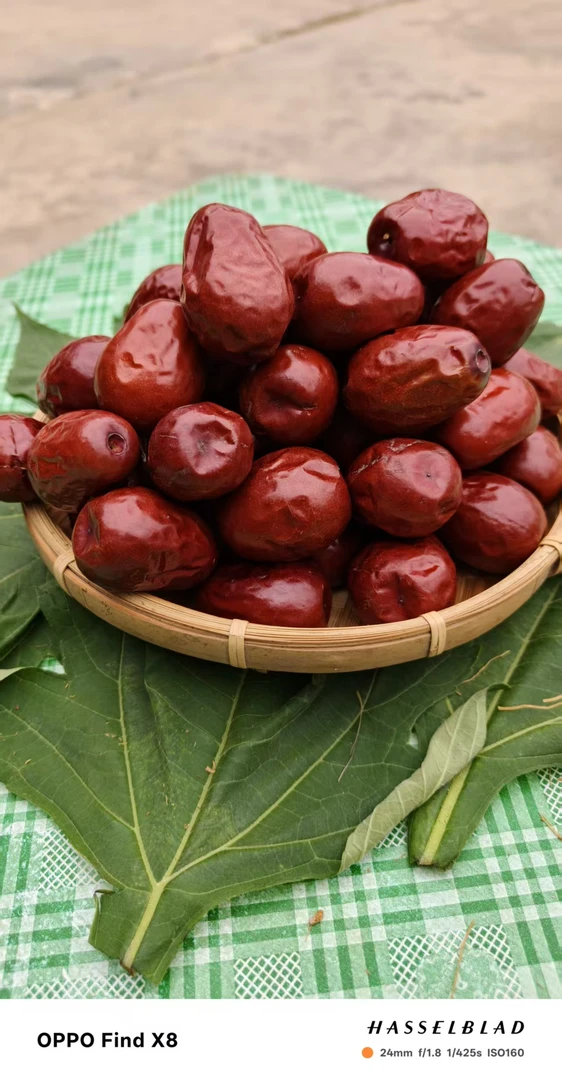 云南正宗特大红枣