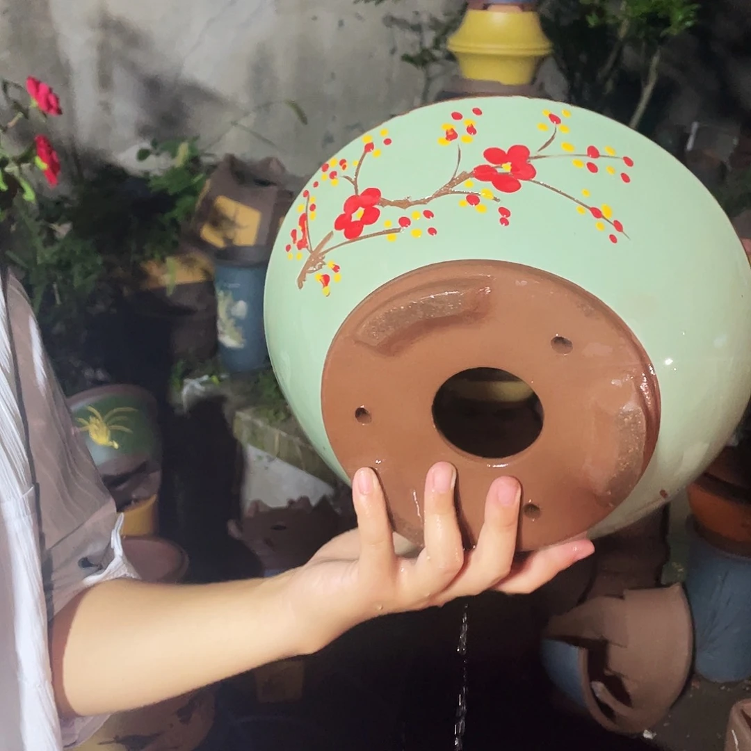 苹果绿萝小号一个