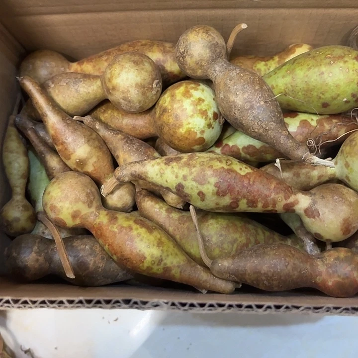 @***妮陶瓷花皮本捻摆件手把