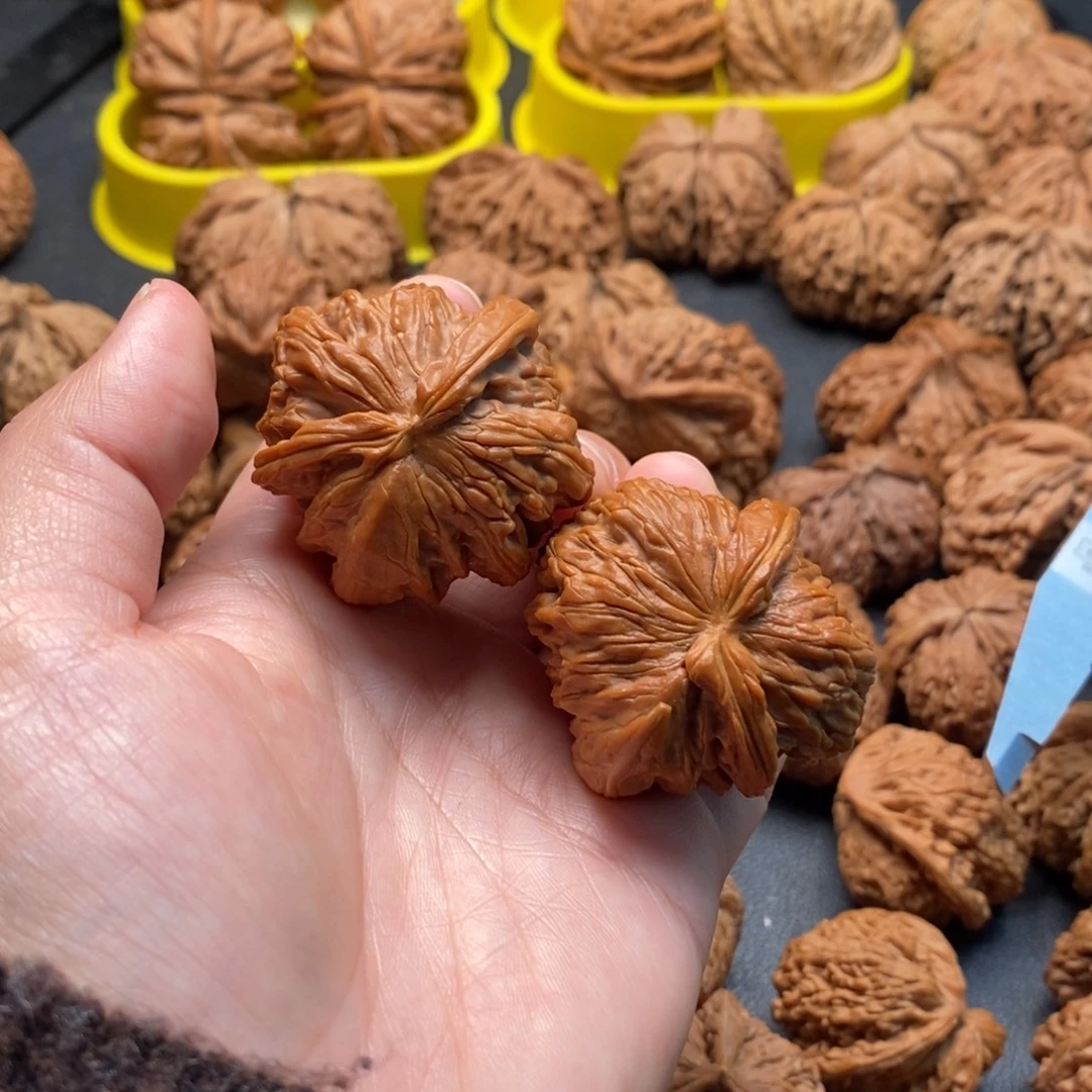 文玩核桃把件42白狮子角