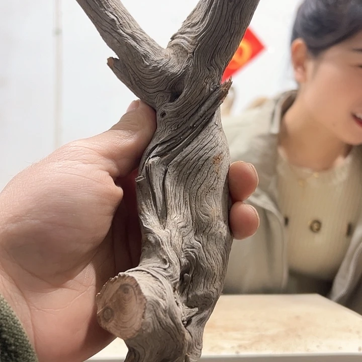 柏木傲***狼我们的生活也