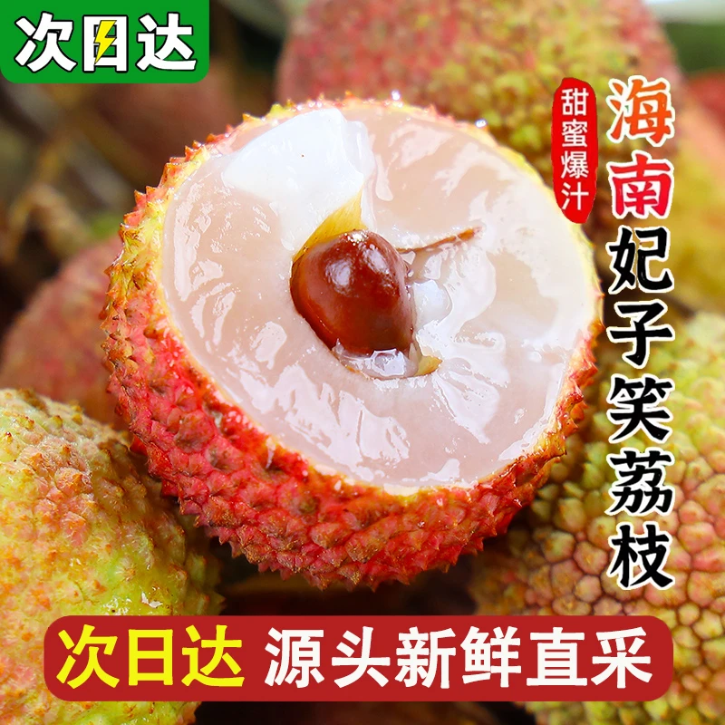 6-27日现货【今天拍明天到】DS海南直采老树荔枝新鲜水果妃子笑0.5-5斤装荔枝同城送