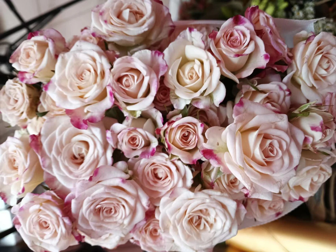 套餐59 折射泡泡3支+西雅图康乃馨10支