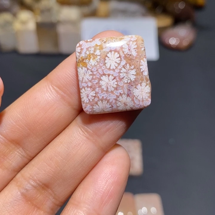 【闪购商品】未镶嵌珊瑚玉硅化玉