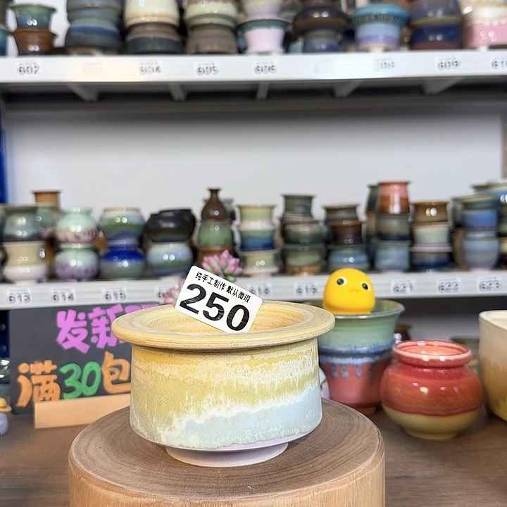 景德镇手工陶瓷盆 口9