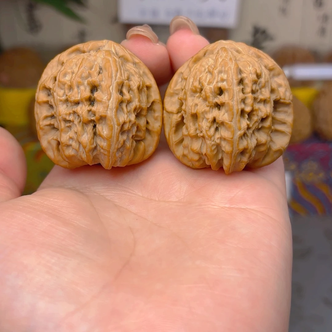 白狮子头三十八尺