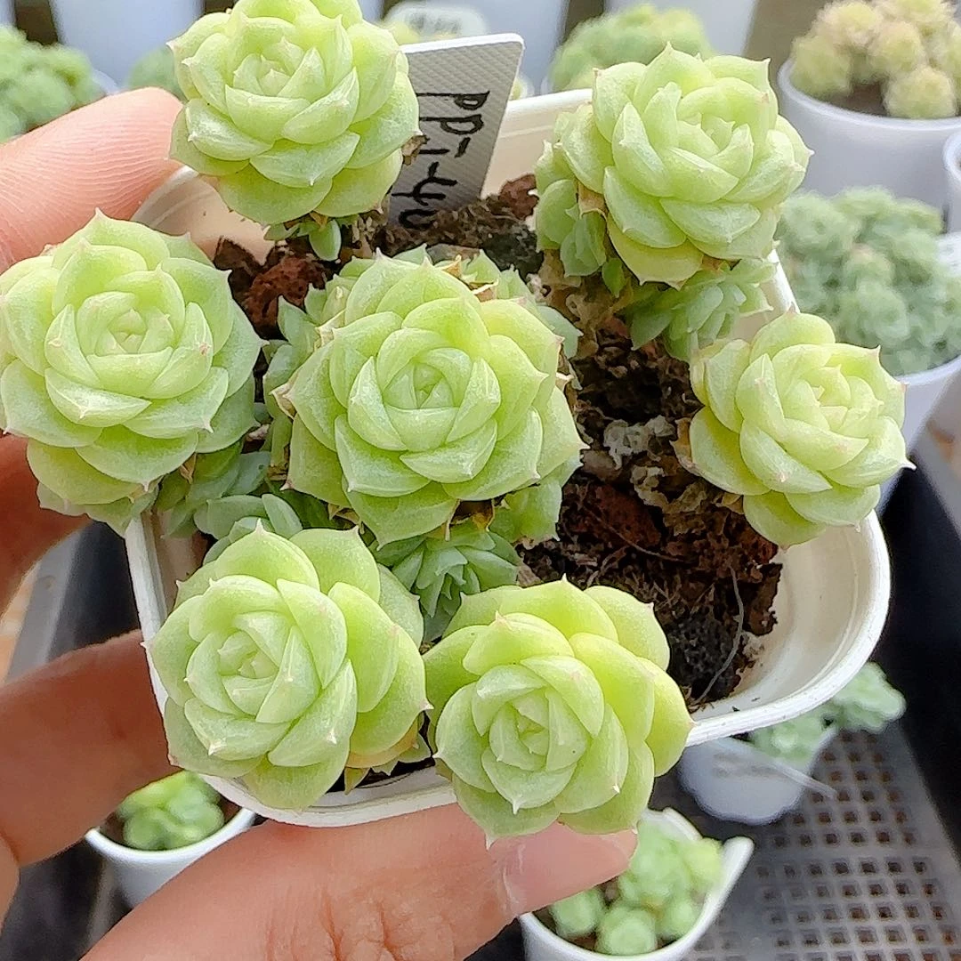 【闪购商品】0827-27（ppt-40）