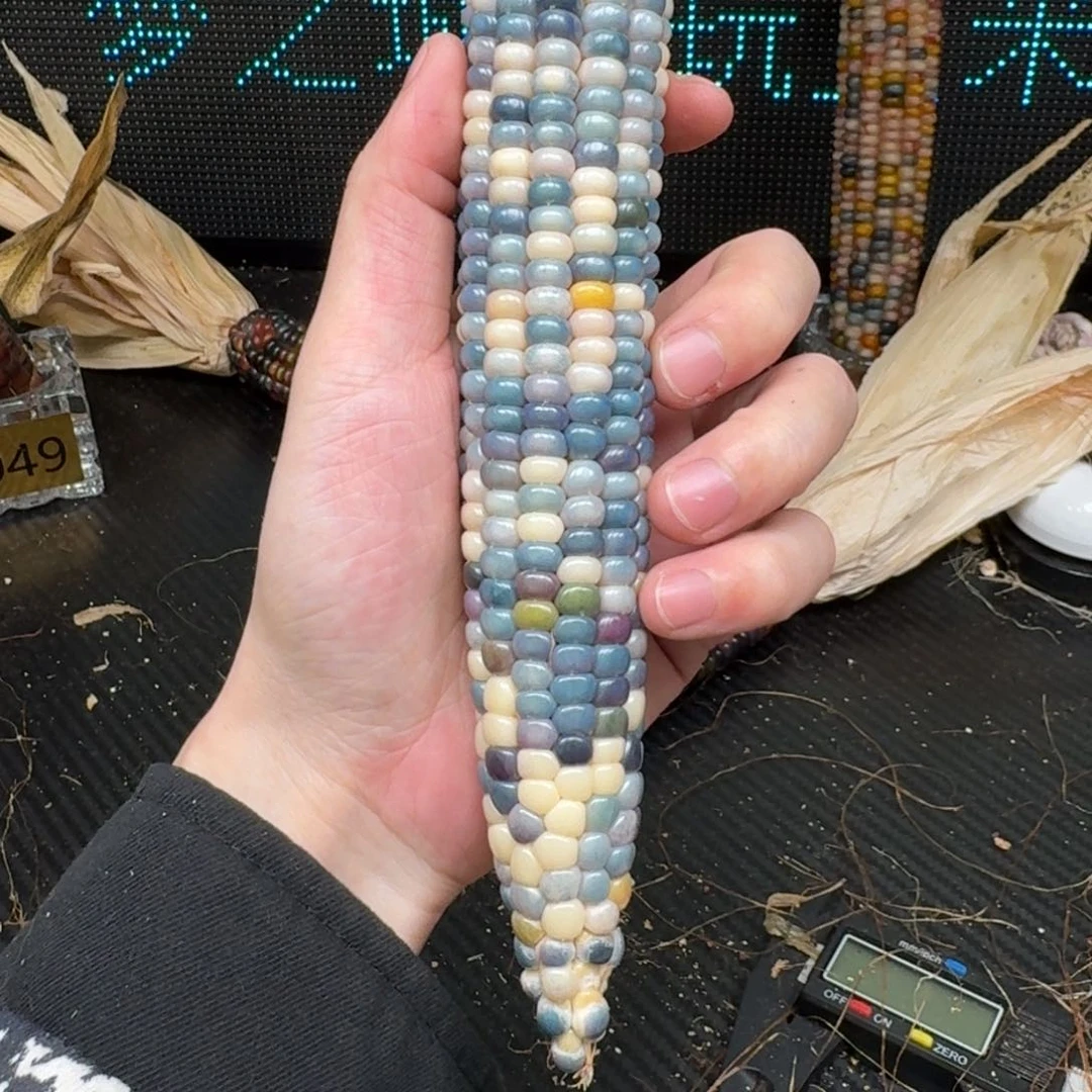 柏香籽/百香籽吊坠C****账