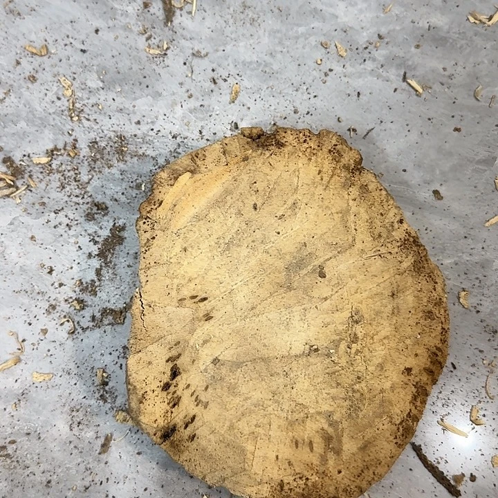 沉香沉香枕沉香料子
