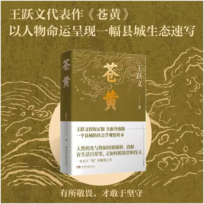 苍黄(2023新版)_王跃文_湖南文艺出版社【微瑕】
