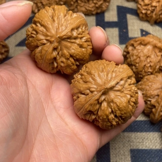 吊坠文玩核桃霸王龙全品41