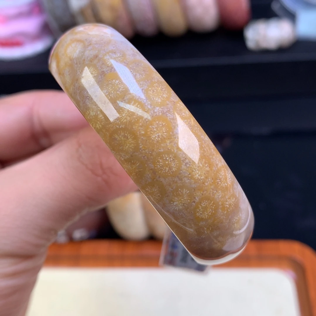 硅化珊瑚（珊瑚玉）未镶嵌颈饰27号54.7圈沙沙底