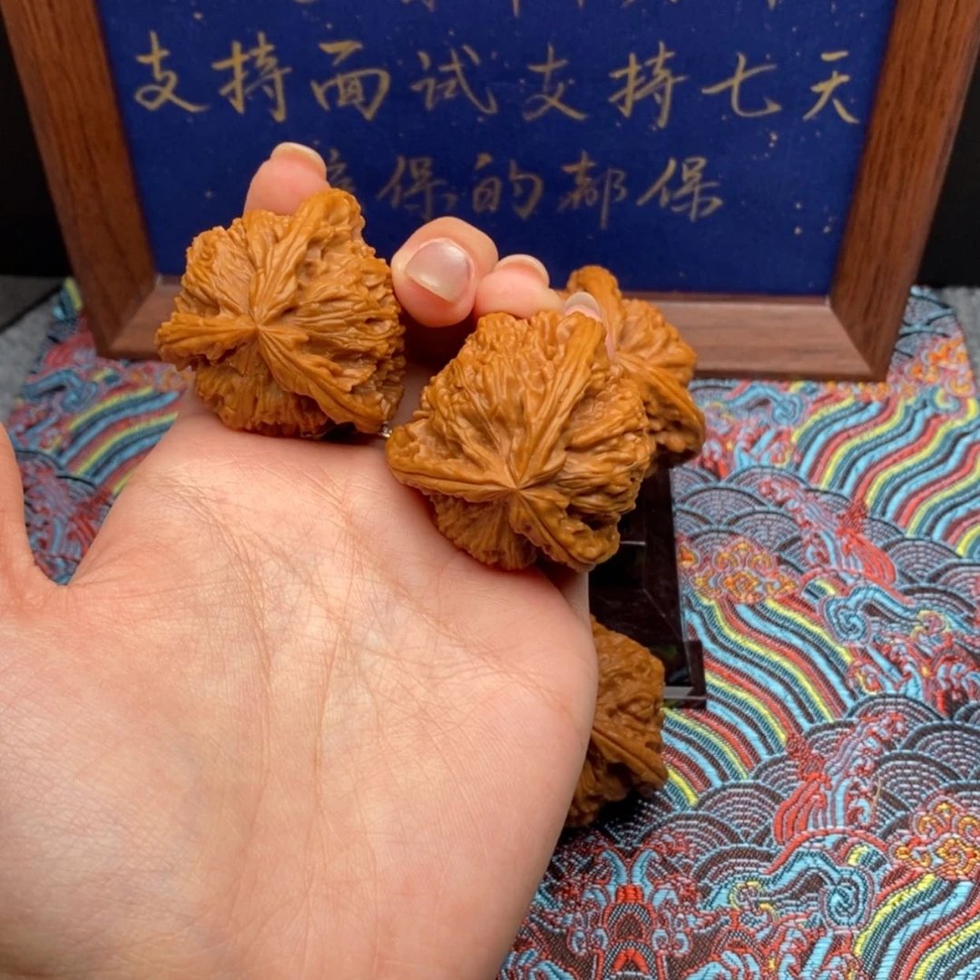 【闪购商品】小*神白狮