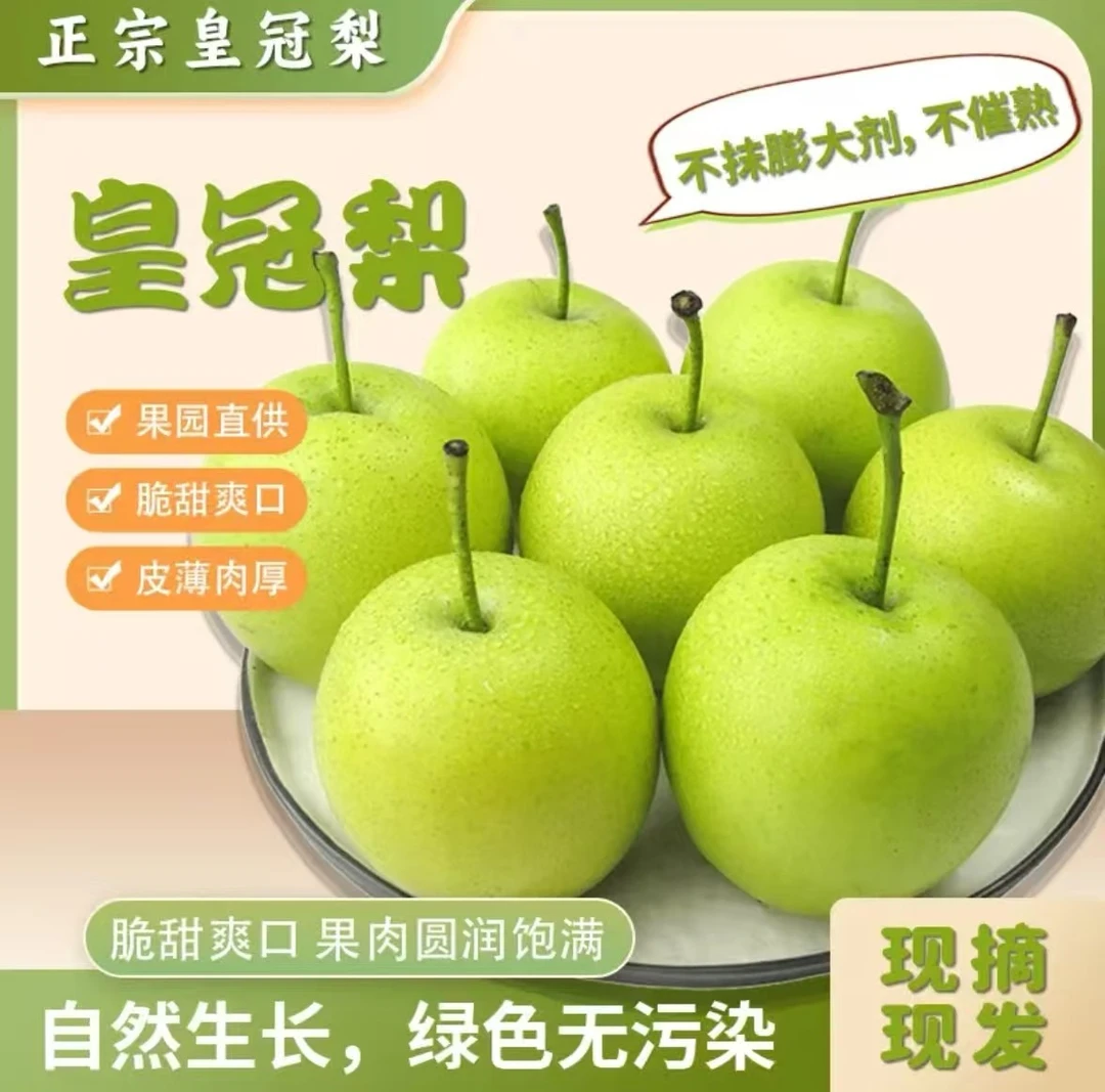 河北青皮梨蜜梨脆甜无渣汁水新鲜水果梨脆甜梨现摘现发