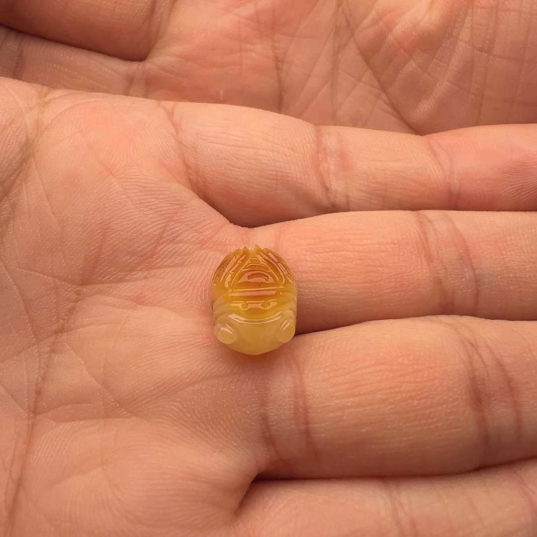 蜜蜡未镶嵌颈饰金蝉提溜（打孔不退换）