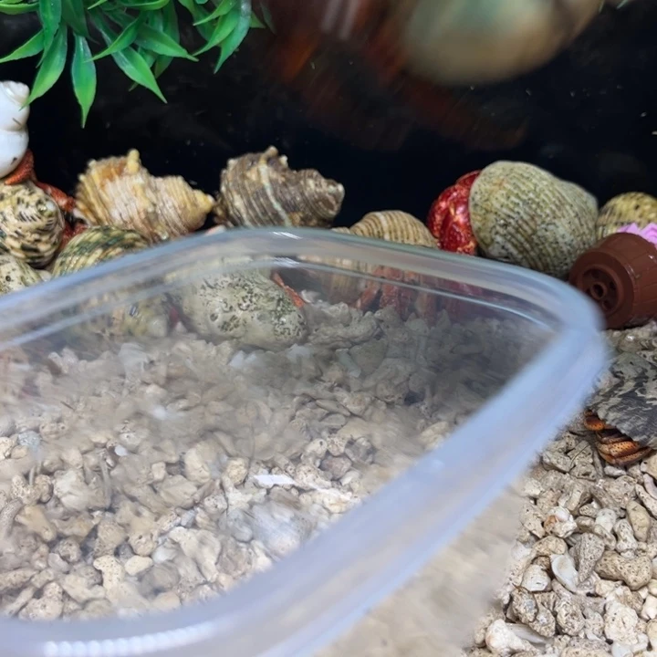 小区专拍棘足链接