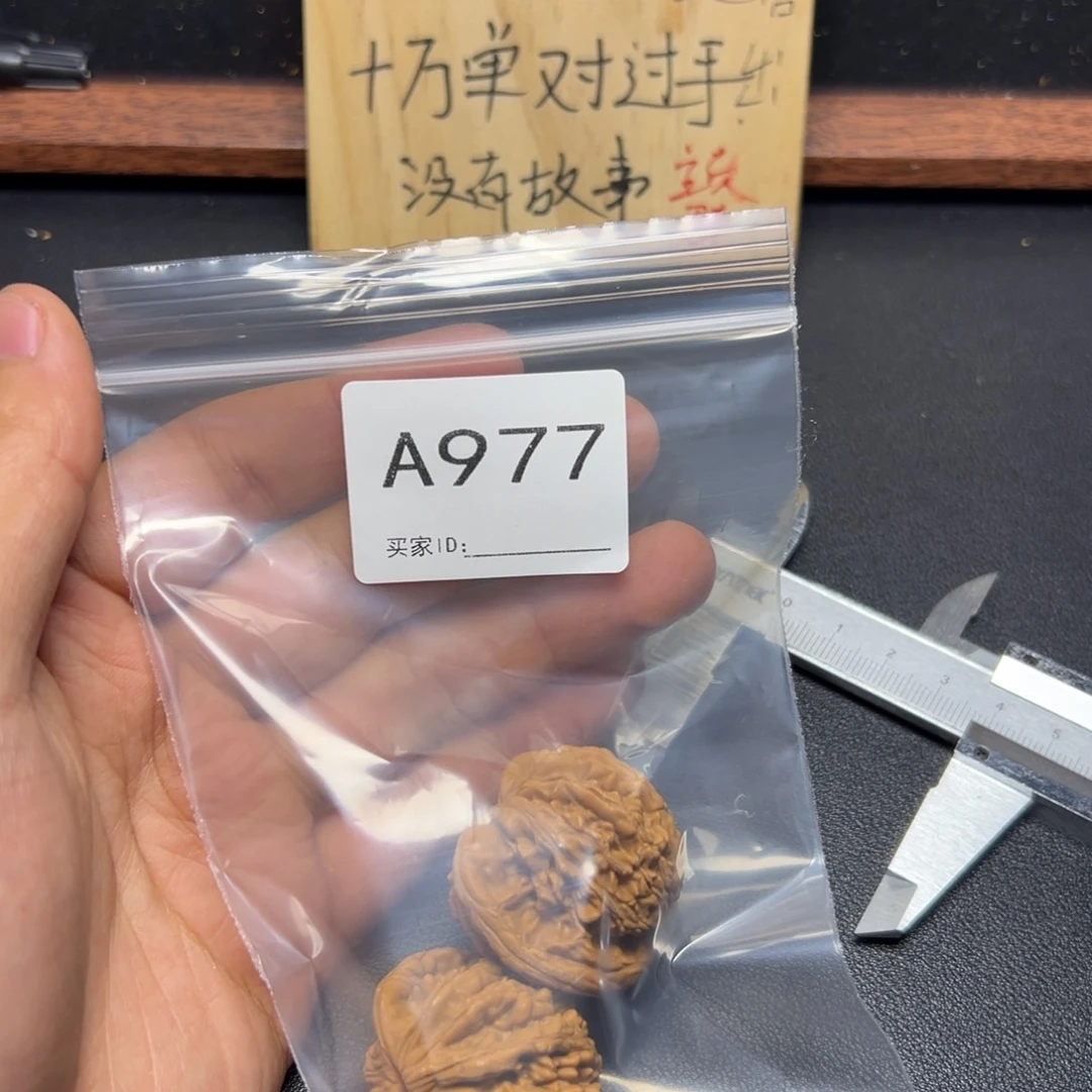 哈哈哈哈我的小可爱
