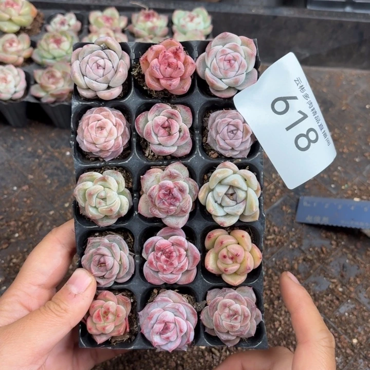 618。
