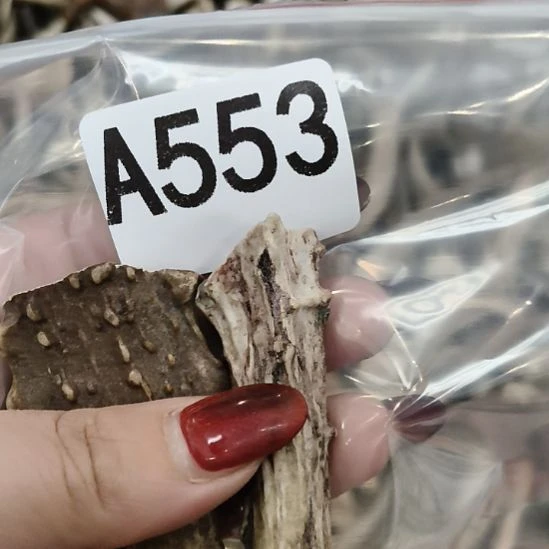 五***哥鹿角鹿角鹿角鹿角鹿角