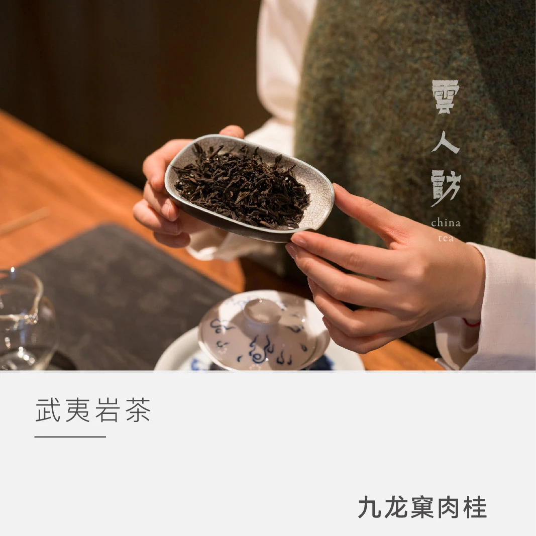 【九龙窠肉桂】石隐怀香 武夷岩茶 云人访甄选