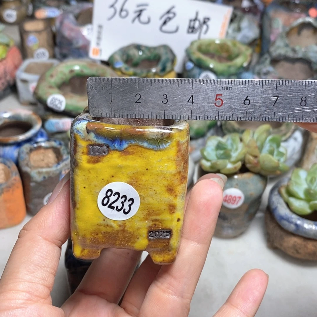 拍3送一个小礼物