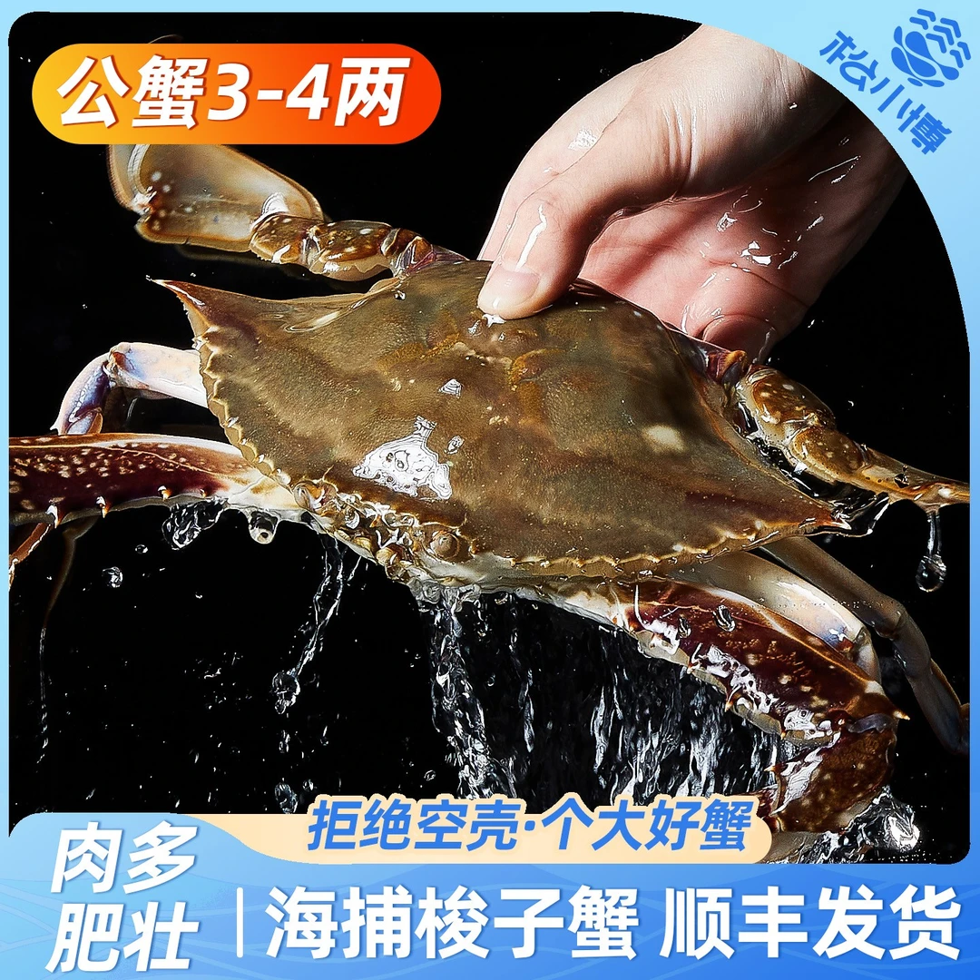 舟山公蟹梭子蟹一箱4两左右/只8只3斤左右不可清蒸【冻蟹】