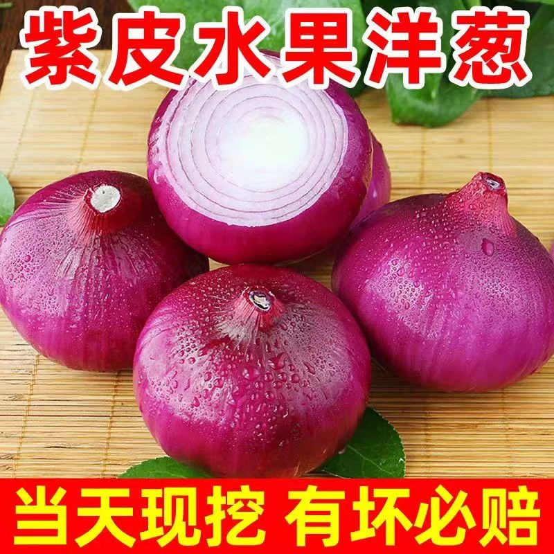 【紫皮洋葱】云南新鲜农家当季新鲜食用饱满现挖现发新鲜