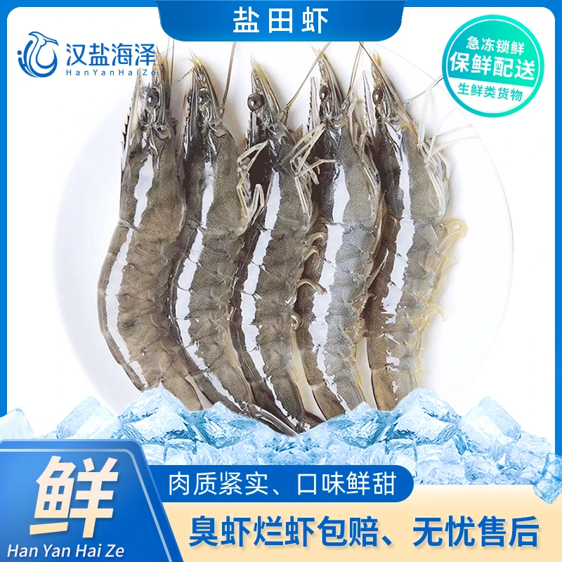 【3040】汉盐海泽盐田汪子虾 肉质紧实鲜甜4.5斤