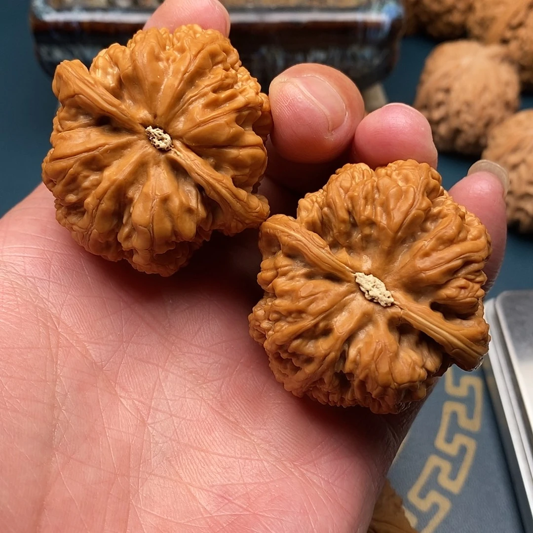 文玩核桃粗筋43尺