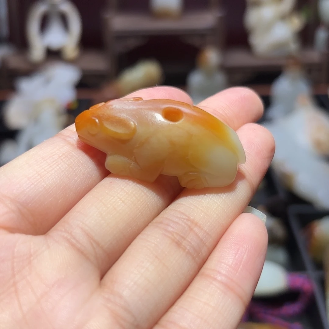 缸一物一图 所见所得