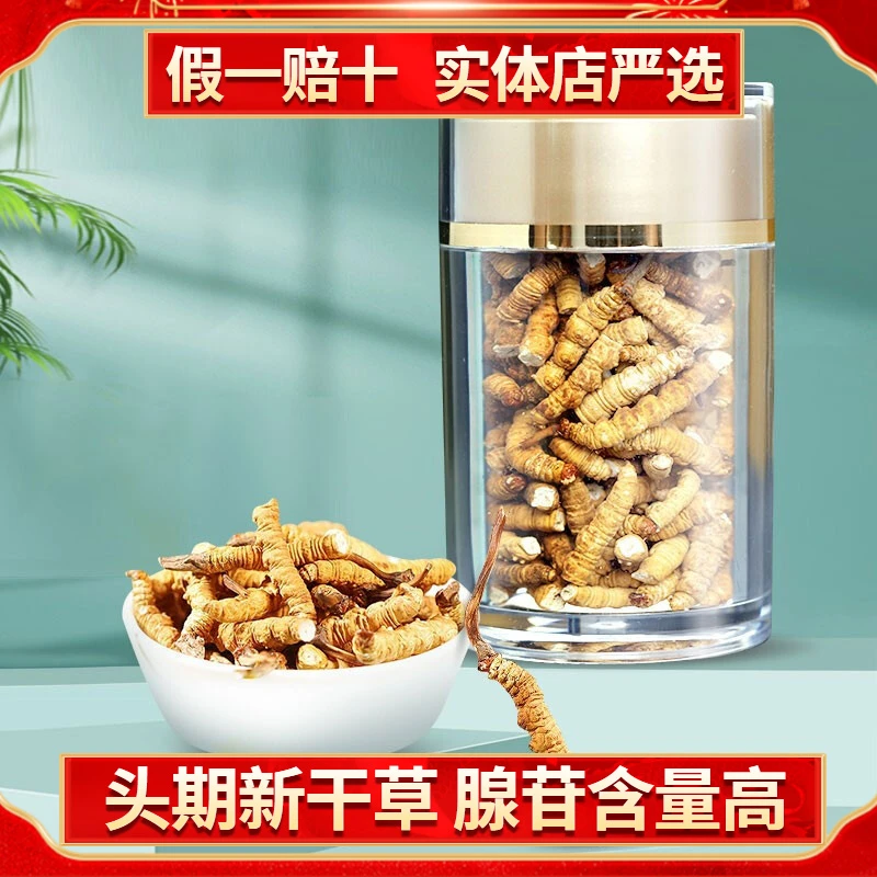 冬虫夏草断草精选大断节虫草自吃实惠10克/罐头期滋补