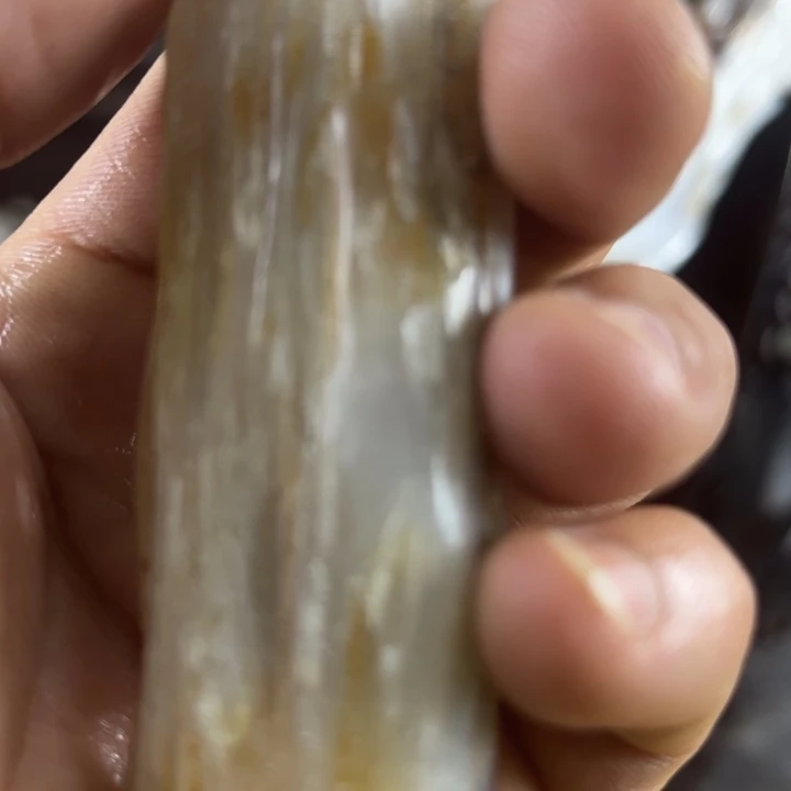 硅化玉珠宝奇石未镶嵌用****7