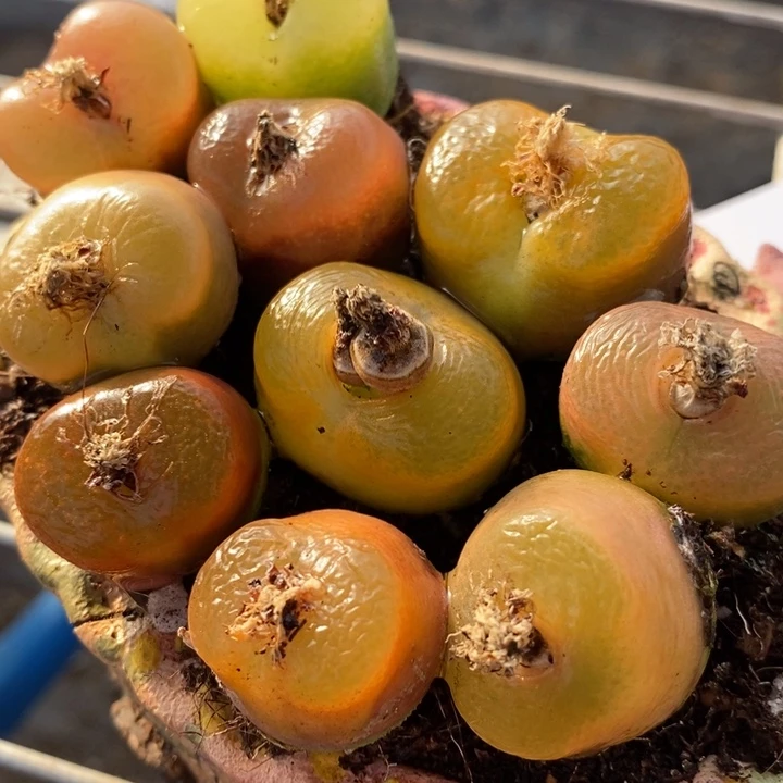 1680一组一组一组