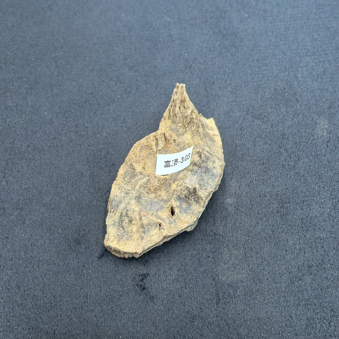 重约3.03克 250212富顶/85（料）天然木艺