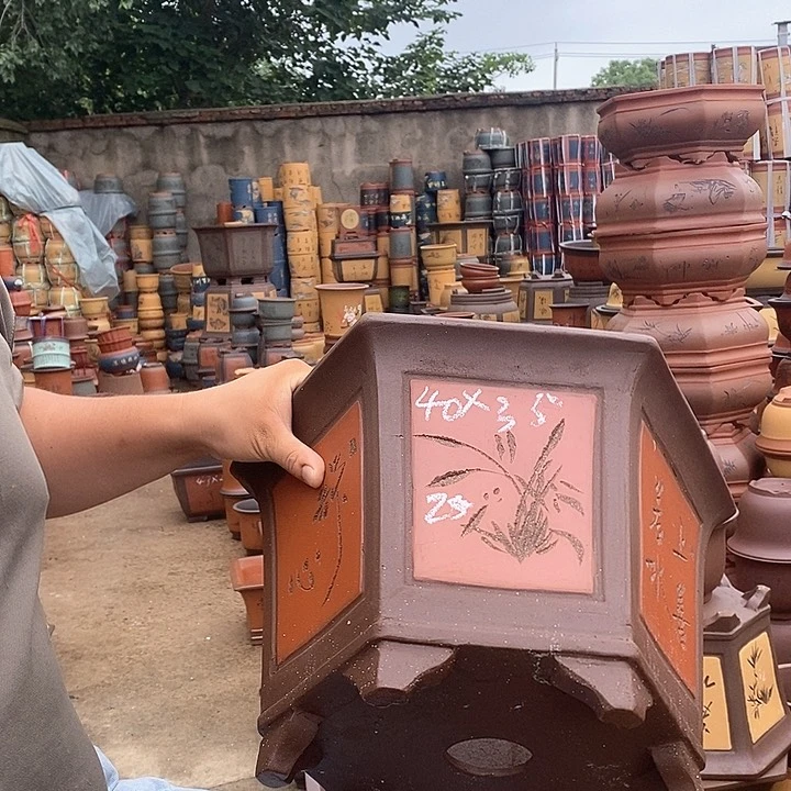 紫砂花盆盆栽观赏植物