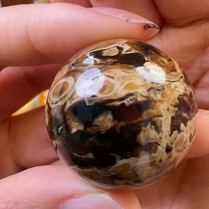 蜜蜡颈饰未镶嵌蜜蜡