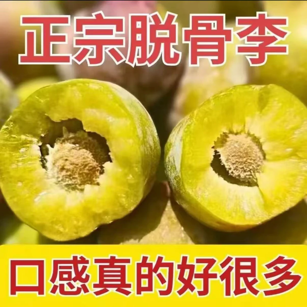 【产地现摘】四川茵红李青红脱骨李子当季水果半边红青脆李脆红李