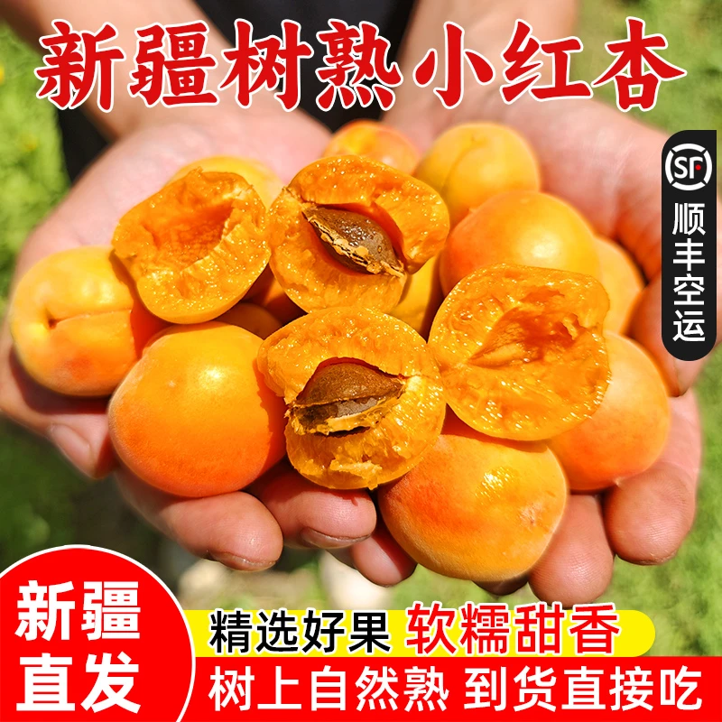 正宗新疆阿克苏吊干杏小红杏 现摘现发当季新鲜水果 顺丰空运