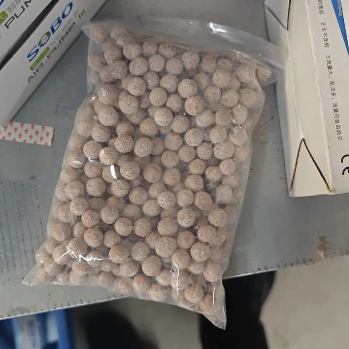 红海倒吊鱼中空球1斤