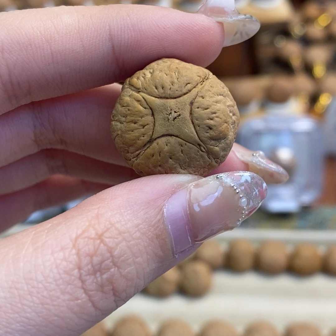 凤眼菩提吊坠树王麒麟眼尺寸21➕